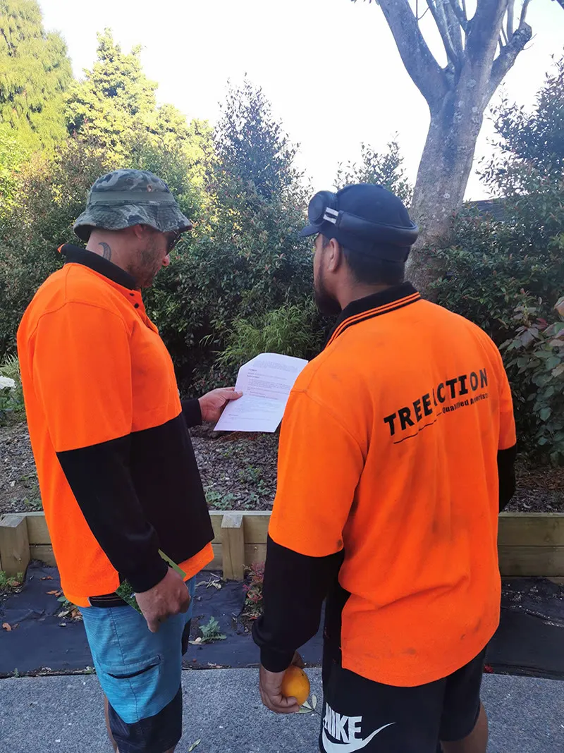 Tree Action work: On the job
