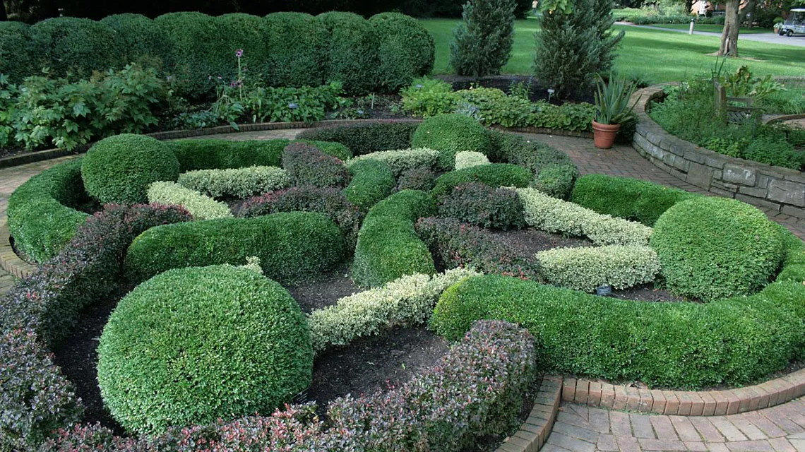 Hedge Trimming