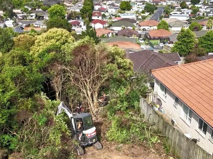 Tree Removal & Land Clearance