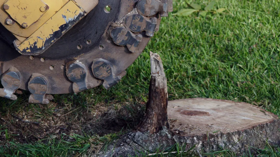 Stump Grinding